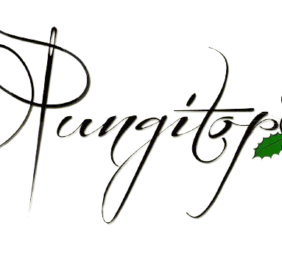 Erboristeria Il Pungitopo