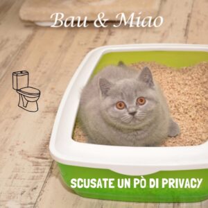 Bau & Miao Pet Shop E Toelette - il meglio a Latina 11