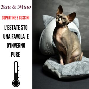 Bau & Miao Pet Shop E Toelette - il meglio a Latina 12
