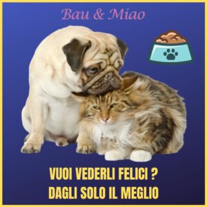 Bau & Miao Pet Shop E Toelette - il meglio a Latina 14