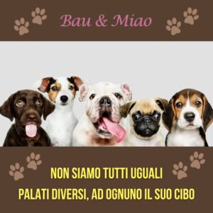 Bau & Miao Pet Shop E Toelette - il meglio a Latina 5