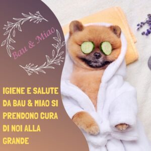 Bau & Miao Pet Shop E Toelette - il meglio a Latina 9
