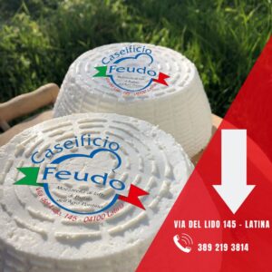 Caseificio Feudo il meglio a Latina 6