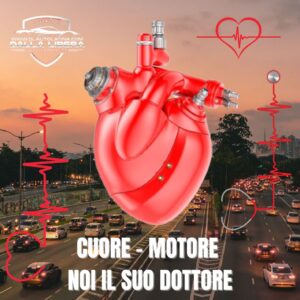 Dalla Libera Auto - il meglio a Latina 8
