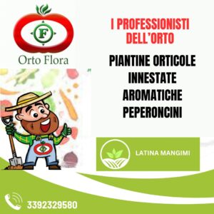 LATINA MANGIMI Il Meglio a Latina a4