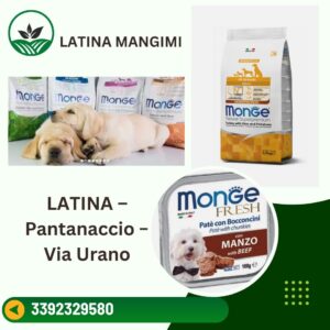 Latina Mangimi Il Meglio a Latina a1