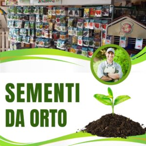 Latina Mangimi - il meglio a Latina 8