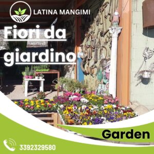 Latina mangimi il meglio a Latina 16