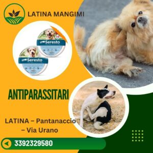 Latina mangimi il meglio a Latina 20
