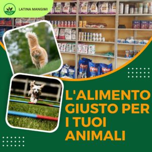 Latina mangimi il meglio a Latina 21