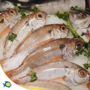 Pescheria Pacifico Adolfo Morbella il meglio a Latina 11