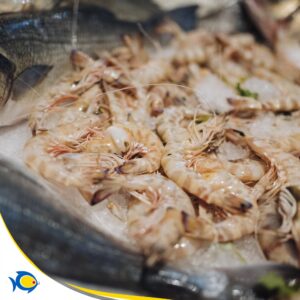 Pescheria Pacifico Adolfo Morbella il meglio a Latina 13