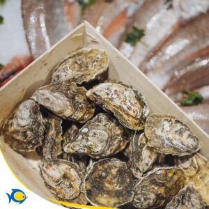 Pescheria Pacifico Adolfo Morbella il meglio a Latina 15