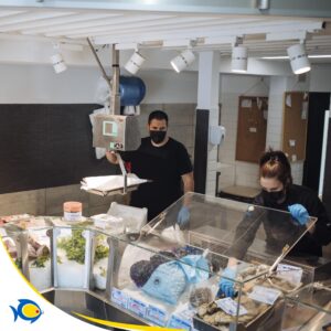 Pescheria Pacifico Adolfo Morbella il meglio a Latina 6