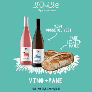 Agriturismo l’ovile Il Meglio a Latina 11