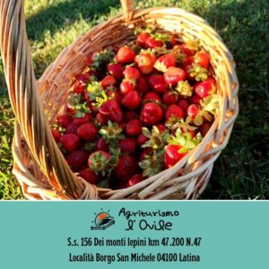 Agriturismo l’ovile Il Meglio a Latina 14