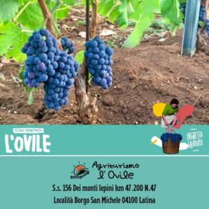Agriturismo l’ovile Il Meglio a Latina 4