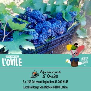 Agriturismo l’ovile Il Meglio a Latina 6