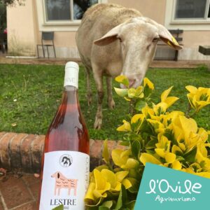 Agriturismo l’ovile Il Meglio a Latina a9