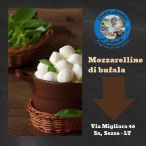 Caseificio il Fontanile Il Meglio a Latina 04