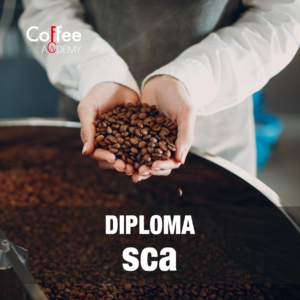 Coffee Academy Il Meglio a Latina 10